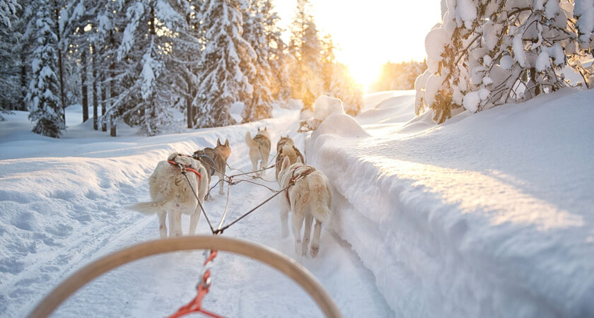 İzmir Çıkışlı Sömestre Özel Lapland Kuzey Işıkları (Kampanya - 4 Gece Park Otel)