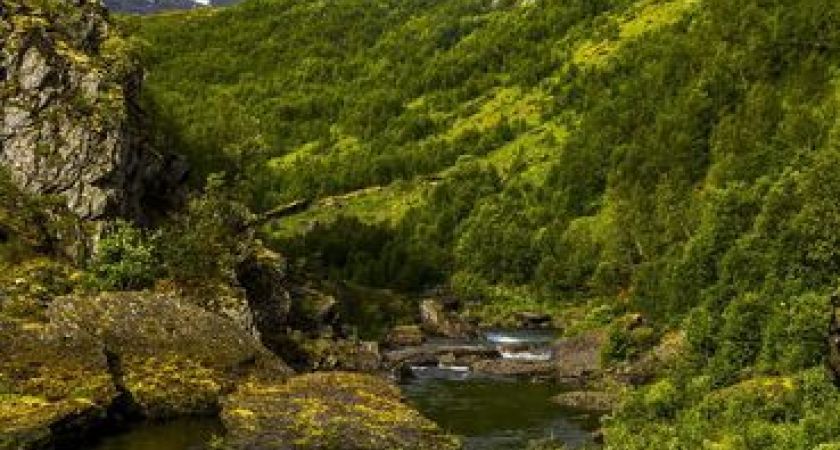 Antalya Çıkışlı Gemi ve Tren ile Büyülü İskandinavya Norveç & Danimarka Fiyortları İsveç Turu (Temmuz)