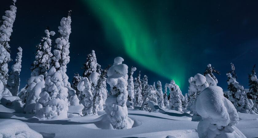 İzmir Çıkışlı Sömestre Özel Lapland Kuzey Işıkları (Kampanya - 4 Gece Olof Otel)